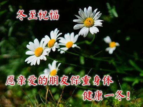 早安爆料大蘑菇视频,早安爆料视频背后的惊人真相  第1张