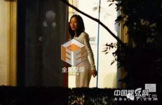 邓超爆料海豚视频,海豚视频背后的故事  第3张